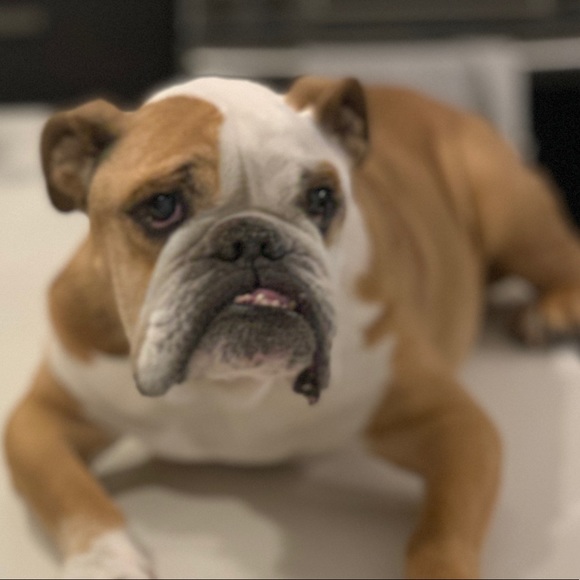 Meet your Posher, Diana - Picture 1 of 1